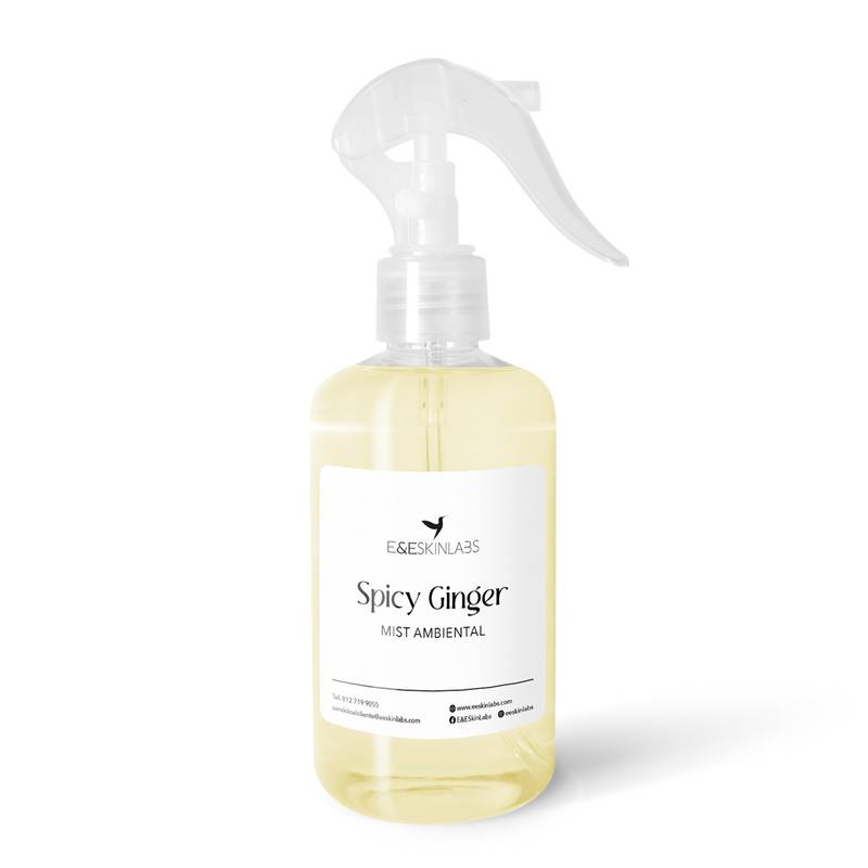MA Spicy Ginger 250ml